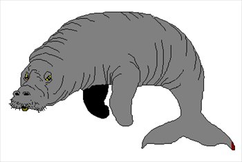 350x234 Manatee Clip Art Free Clipart Panda