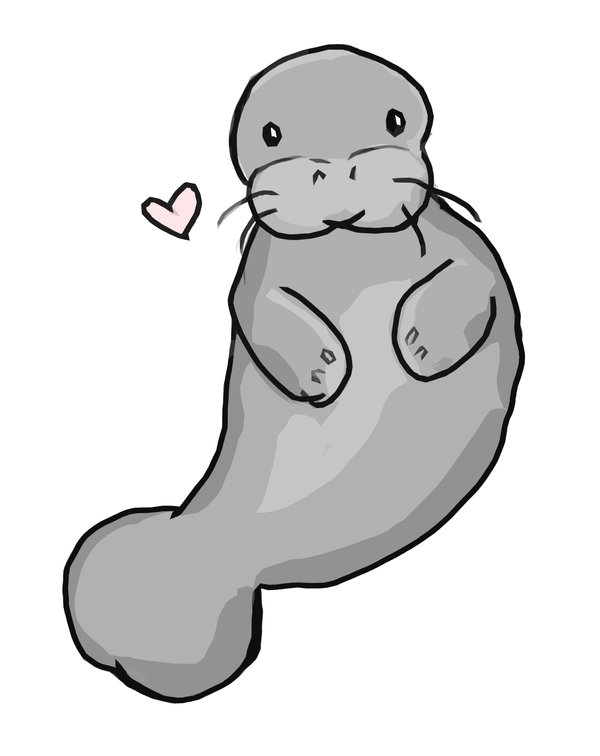 600x756 Manatee Clip Art