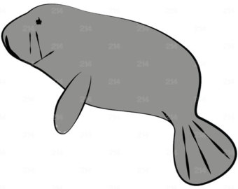 340x270 Manatee Clip Art 7