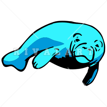 361x361 Manatee Clipart Dugong