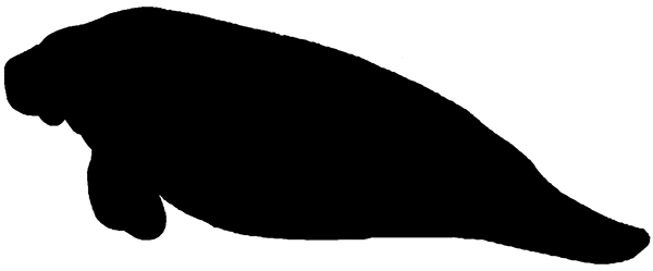 600x249 Manatee Clipart On Behance 2