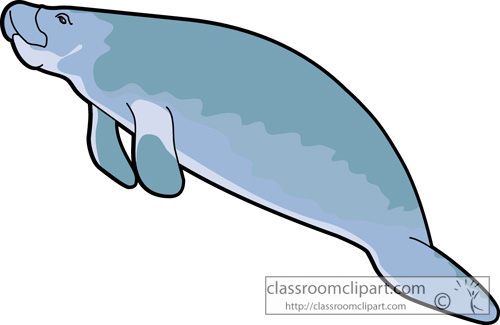 500x325 Cartoon Manatee Clipart Cliparthut
