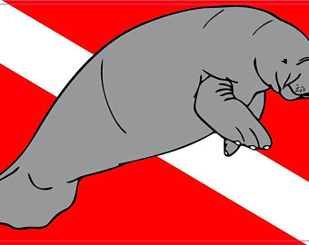 340x270 Manatee Car Decal Etsy
