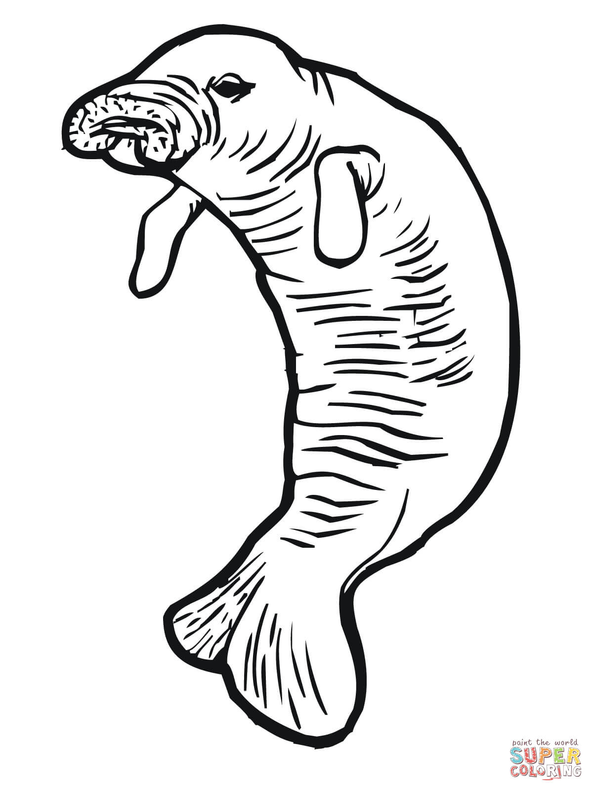 1200x1600 Manatee Or Sea Cow Coloring Page Free Printable Coloring Pages