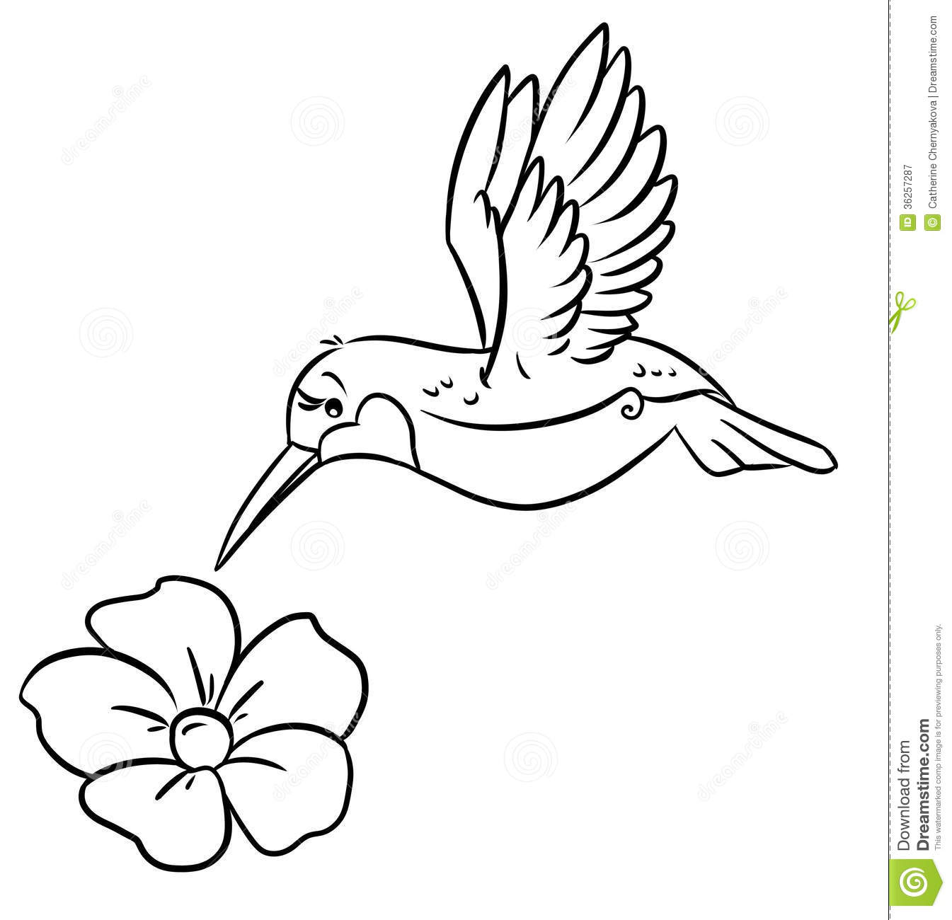 1345x1300 Hummingbird Clipart Black And White