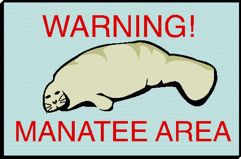 490x323 Best Manatee Clip Art