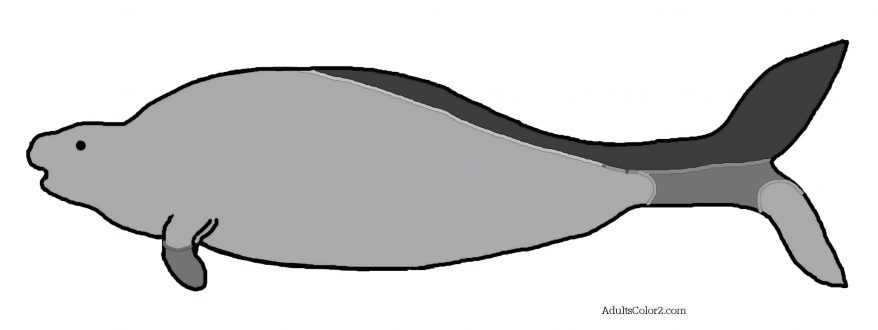 878x330 Download And Print 64 Stunning Manatee Coloring Page Florida