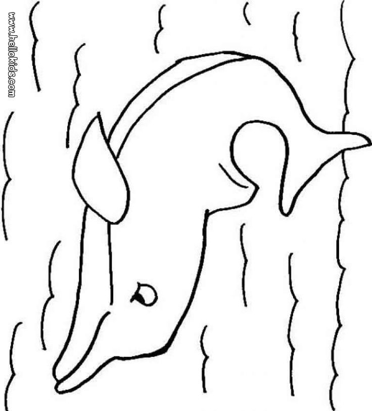736x814 89 Best Sea Animals Coloring Pages Images Colouring