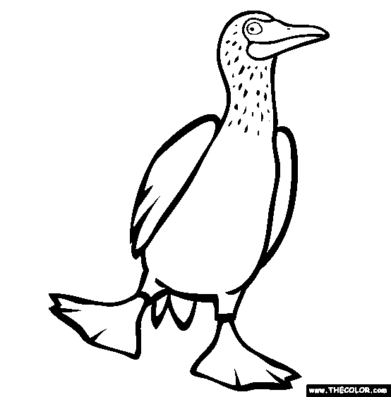 554x563 Newest Coloring Pages Page 78