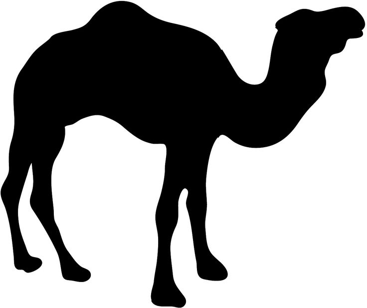 736x617 Camel Clipart Silhouette