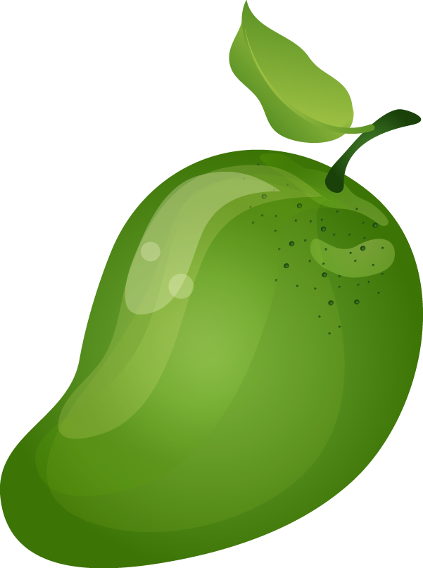 601x807 Mango Clipart Png