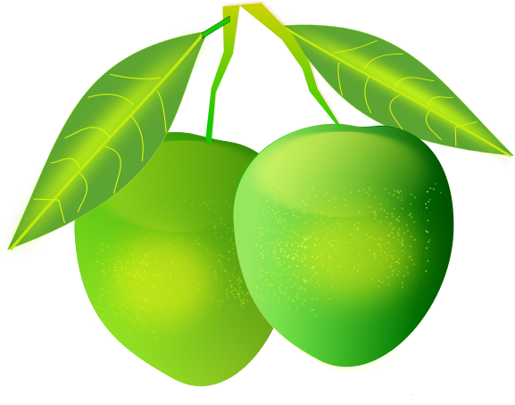 577x454 Free To Use Amp Public Domain Mango Clip Art