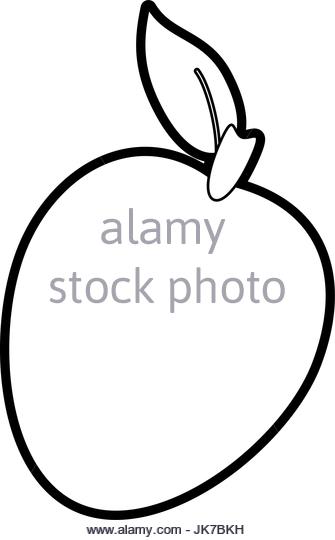 335x540 Mango Illustration Stock Photos Amp Mango Illustration Stock Images