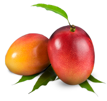 212x200 Mango Png Images Free Download