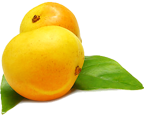 289x230 Nature Fruits Hd Png Set2 Png Vectors, Photos Free Download