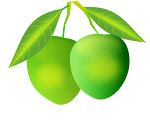 299x240 Mango Clip Art