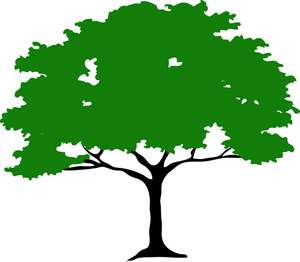 300x262 Oak Tree Clip Art Free Vector In Open Office Drawing Svg