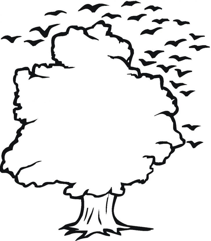 728x830 Tree Illustration Outline Drawing Stock Of A Christmas Image Free