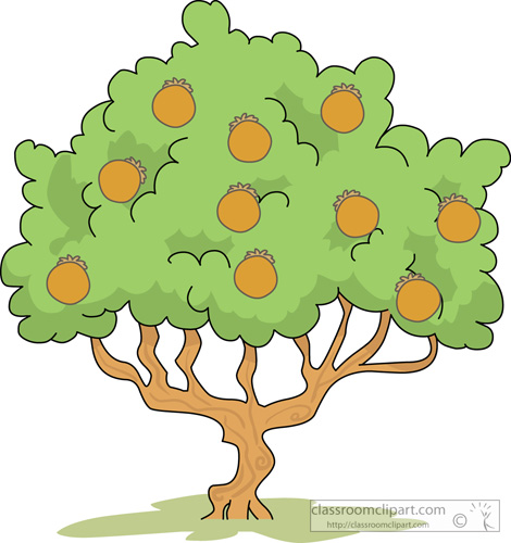 470x500 Trees Mango Tree Clipart Clipart Kid