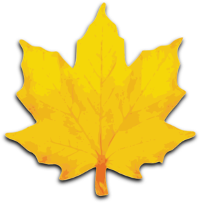 292x297 Orange Maple Leaf Clip Art