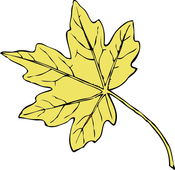 600x585 Gold Maple Leaf Clip Art