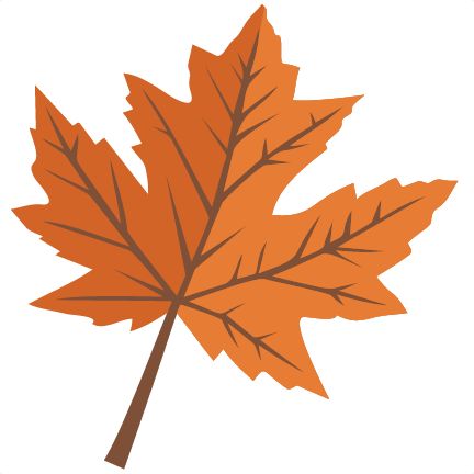 432x432 The Best Maple Leaf Clipart Ideas Maple Leaf