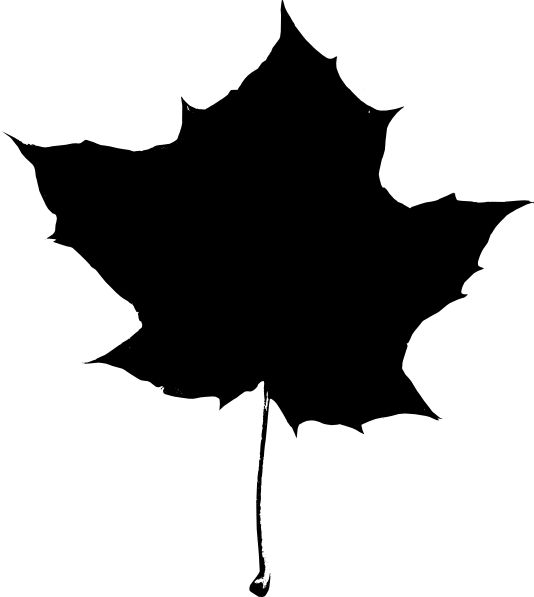 534x597 The Best Maple Leaf Clipart Ideas Maple Leaf