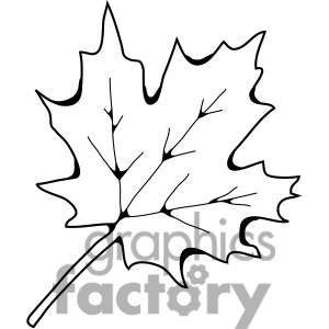 300x300 Sugar Maple Leaf Clipart