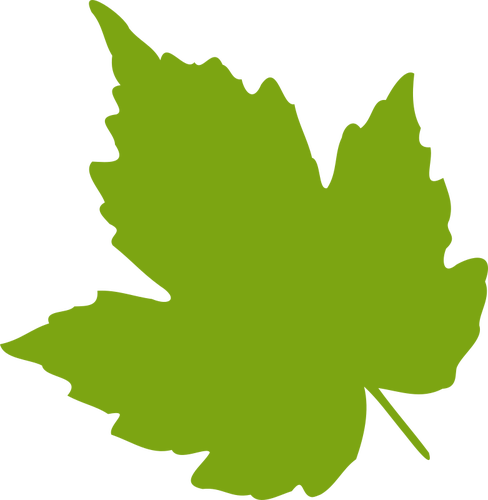 488x500 Green Maple Leaf Vector Image Public Domain Vectors