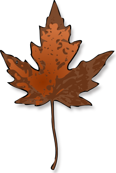 402x597 Maple Leaf Clip Art