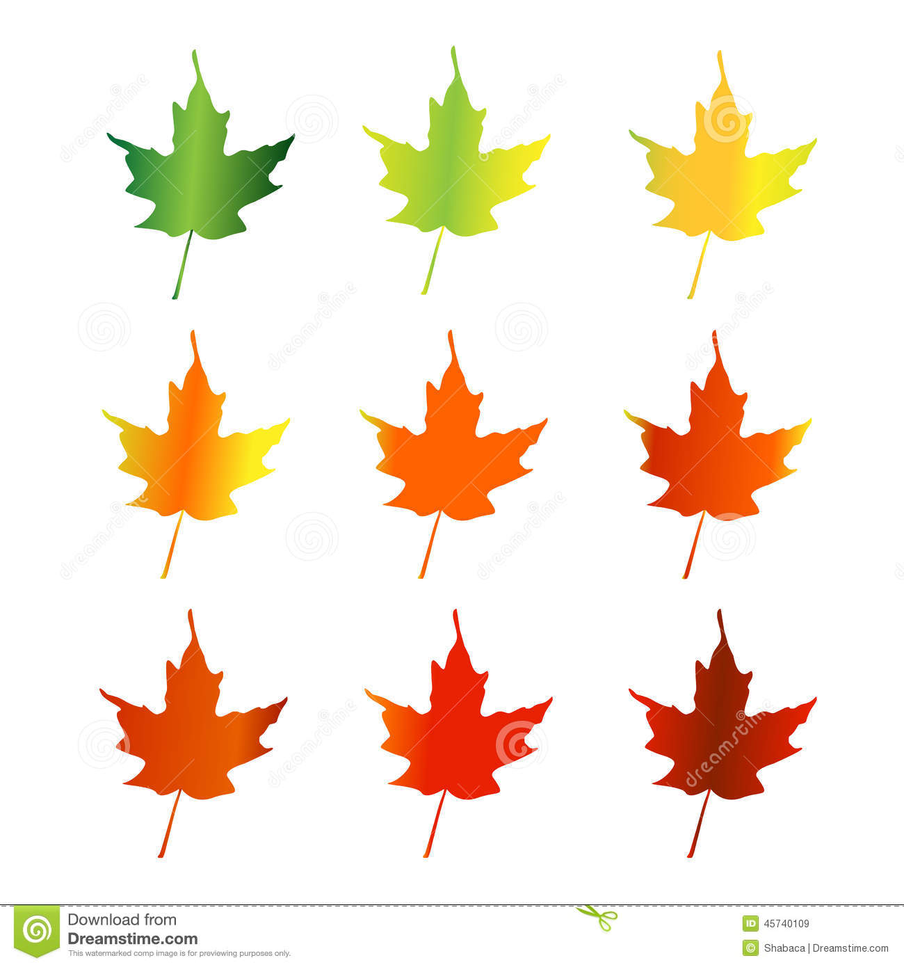 1300x1390 Maple Leaf Clipart Spring Leaves
