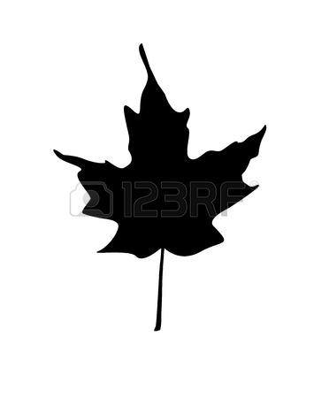 372x450 Silhouettes Of Maple Leaves Changing Color In Spring, Summer