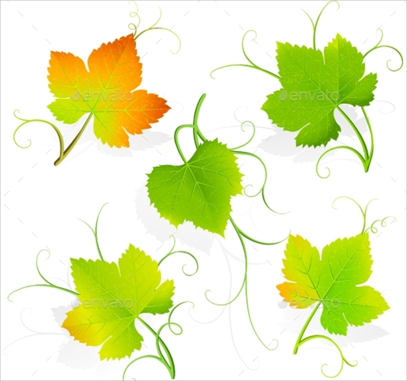 800x748 Leaf Template Printables Amp Design Free Download Creative