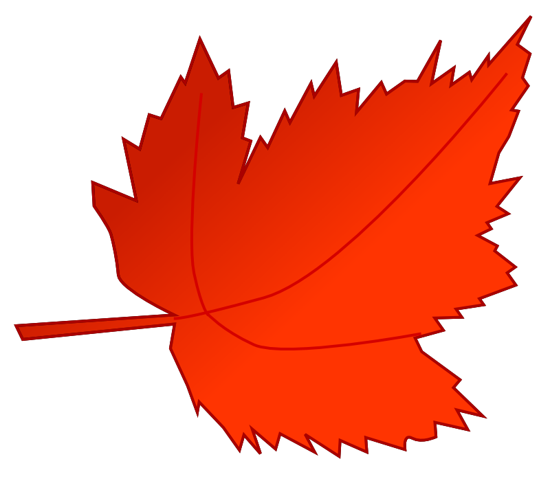 800x732 Maple Leaf Clipart Autmn