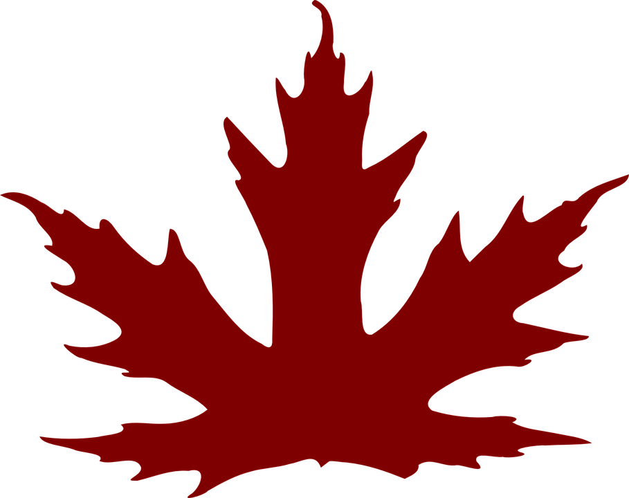 909x720 Maple Leaf Clipart Brown Maple