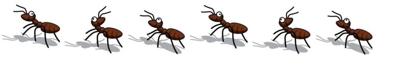 Marching Ants Cliparts | Free download on ClipArtMag