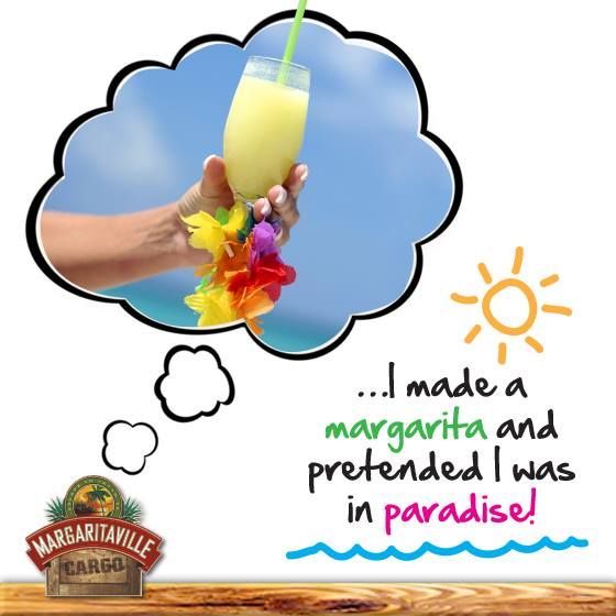 560x560 1092 Best Margaritavilleparrothead Images