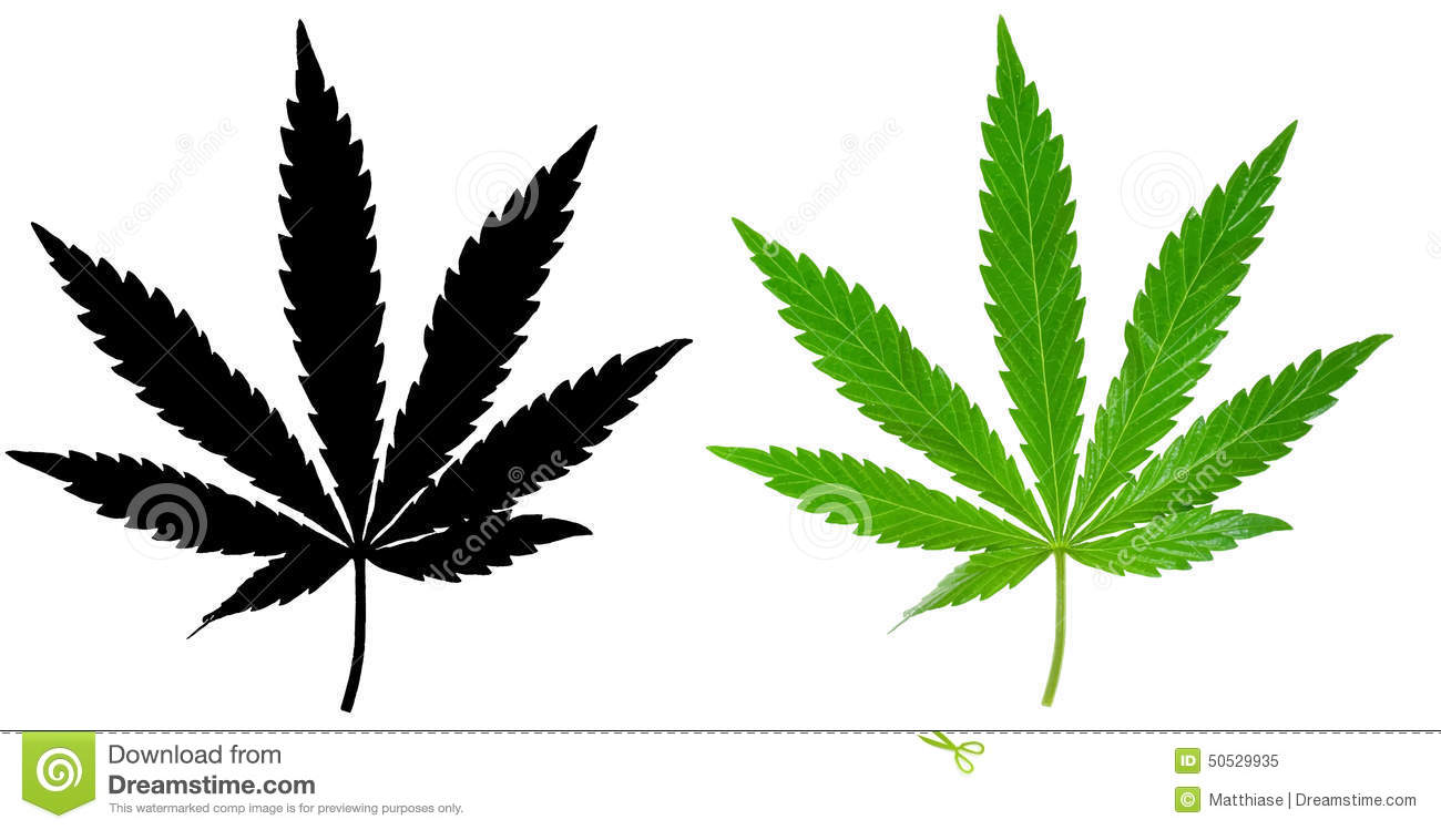 1300x749 Czeshop Images Weed Clipart