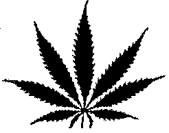 246x194 Marijuana Leaf Clip Art