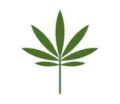 170x148 Marijuana Plant Clip Art