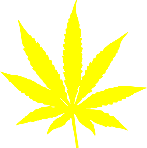 594x599 Marijuana Cannabis Leaf Stars And Stripes Yellow Clip Art