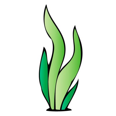 400x400 Marijuana Clipart Under Sea