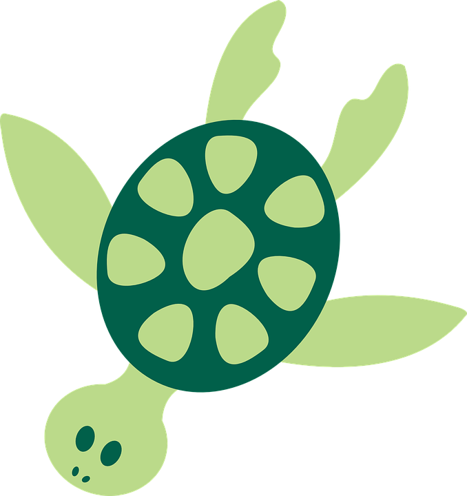 678x720 Sea Turtle Clipart Ocean Animal