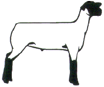 210x175 Lamb Clip Art Clipart Panda