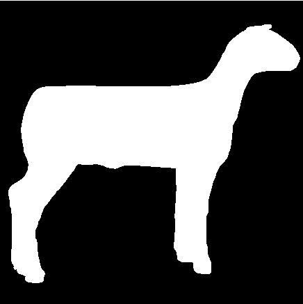 436x437 Lamb Clipart Show