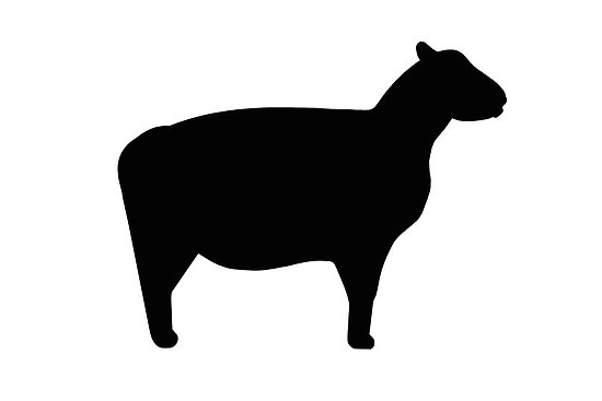 550x367 Lamb Silhouette Clip Art Clipart