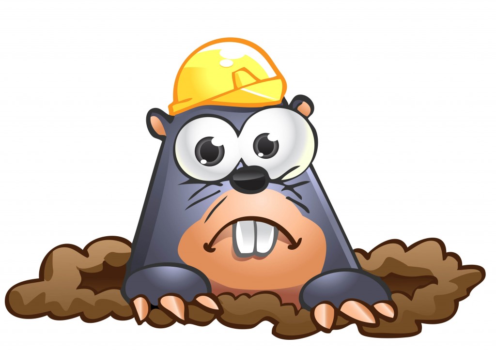1024x723 Mole Day Clipart