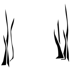 297x300 Swamp Clipart Sea Grass