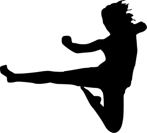 300x271 Karate Clip Art Download