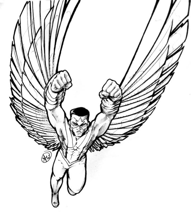 792x900 Coloring Pages Falcon, Printable For Kids Amp Adults, Free
